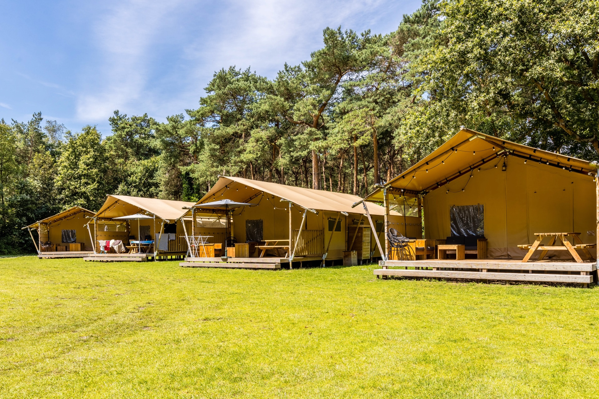 Rijke aan safaritenten op een groot grasveld op vakantiepark De Katjeskelder in Oosterhout.