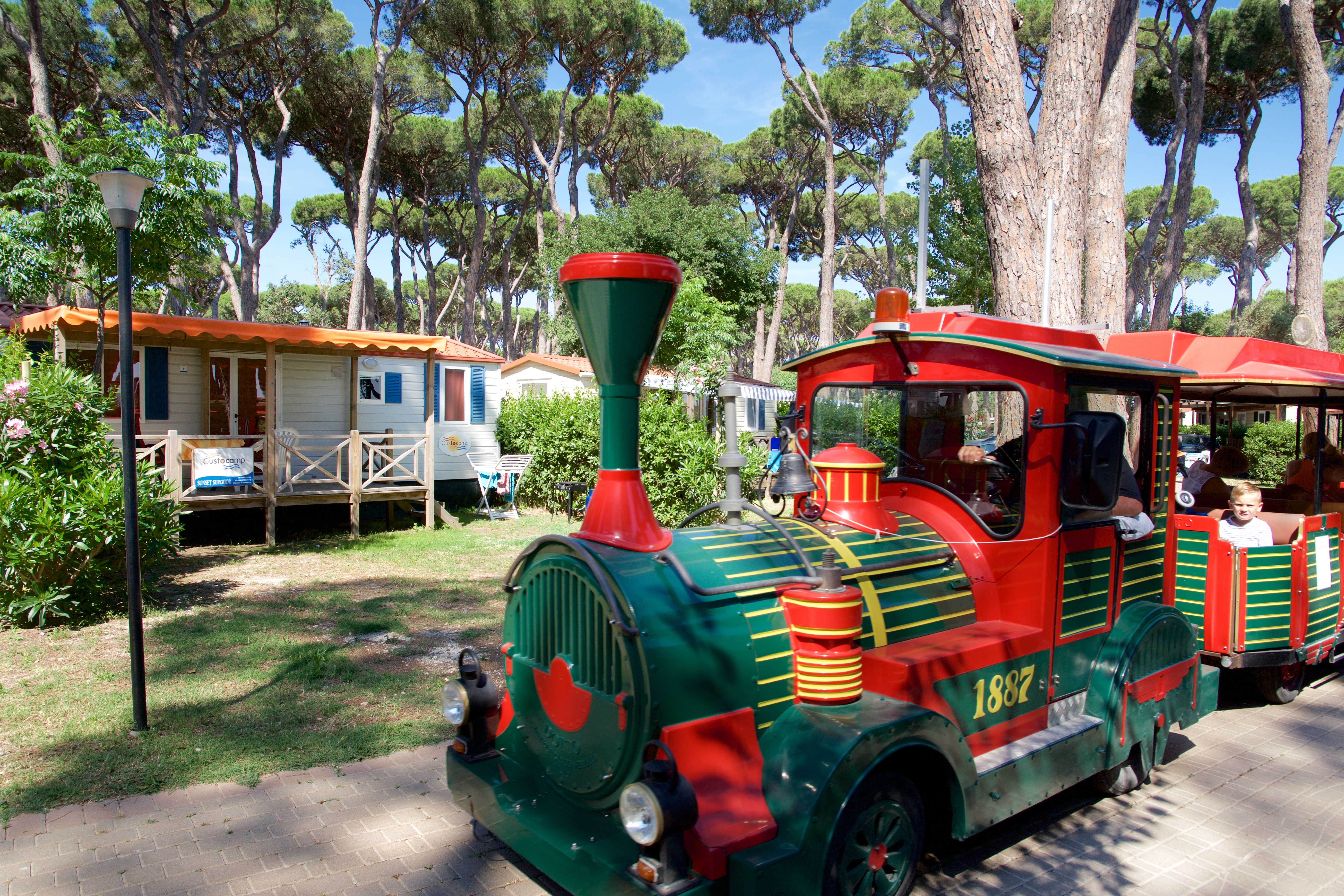 Het vrolijk gekleurde campingtreintje rijdt langs de stacaravans onder de pijnbomen op de grote familiecamping Park Albatros in Toscane.