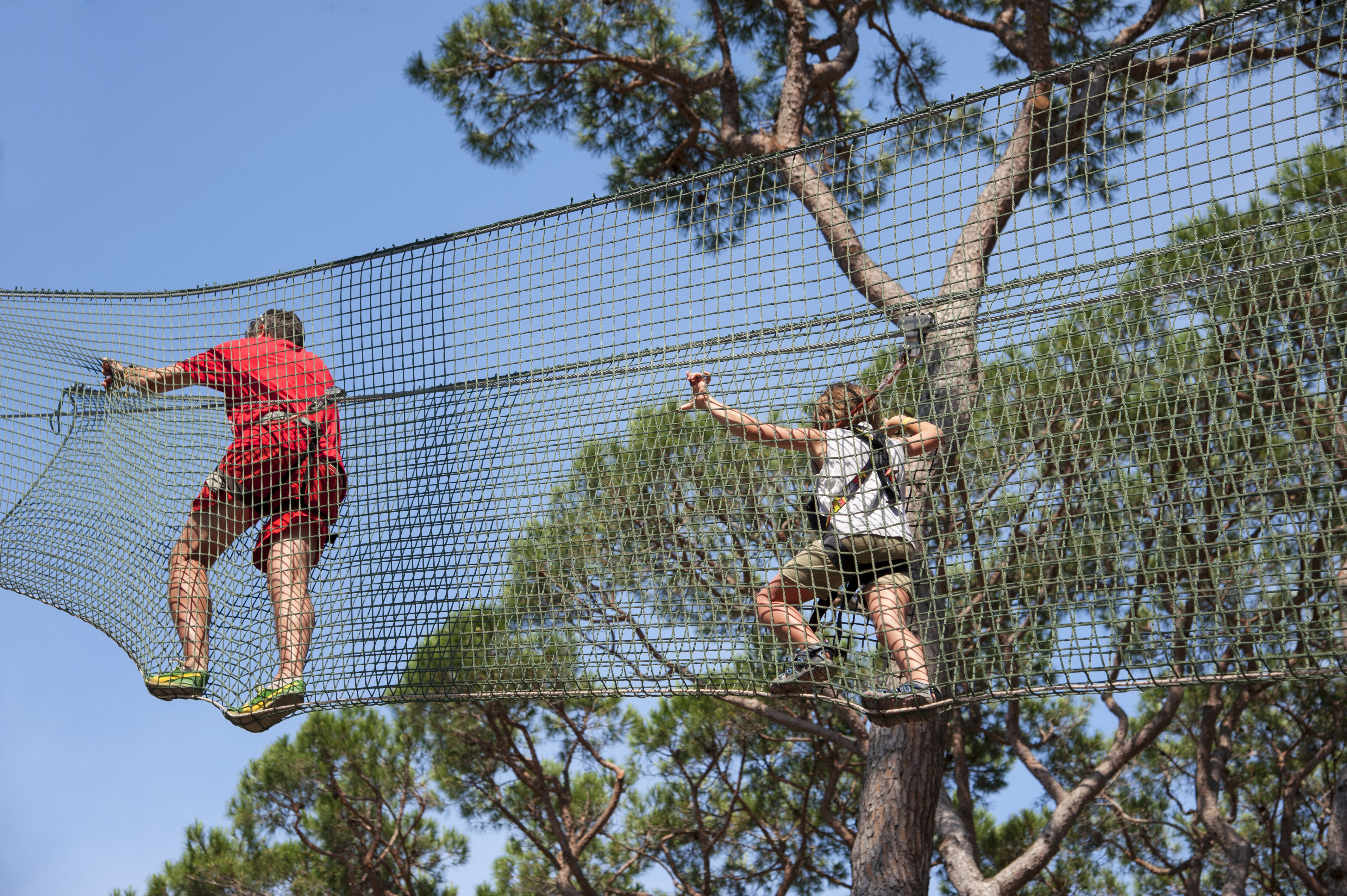 Kinderen en volwassenen klimmen over een nettenparcours in het boomtoppenparcours van het klimpark op camping Park Albatros.