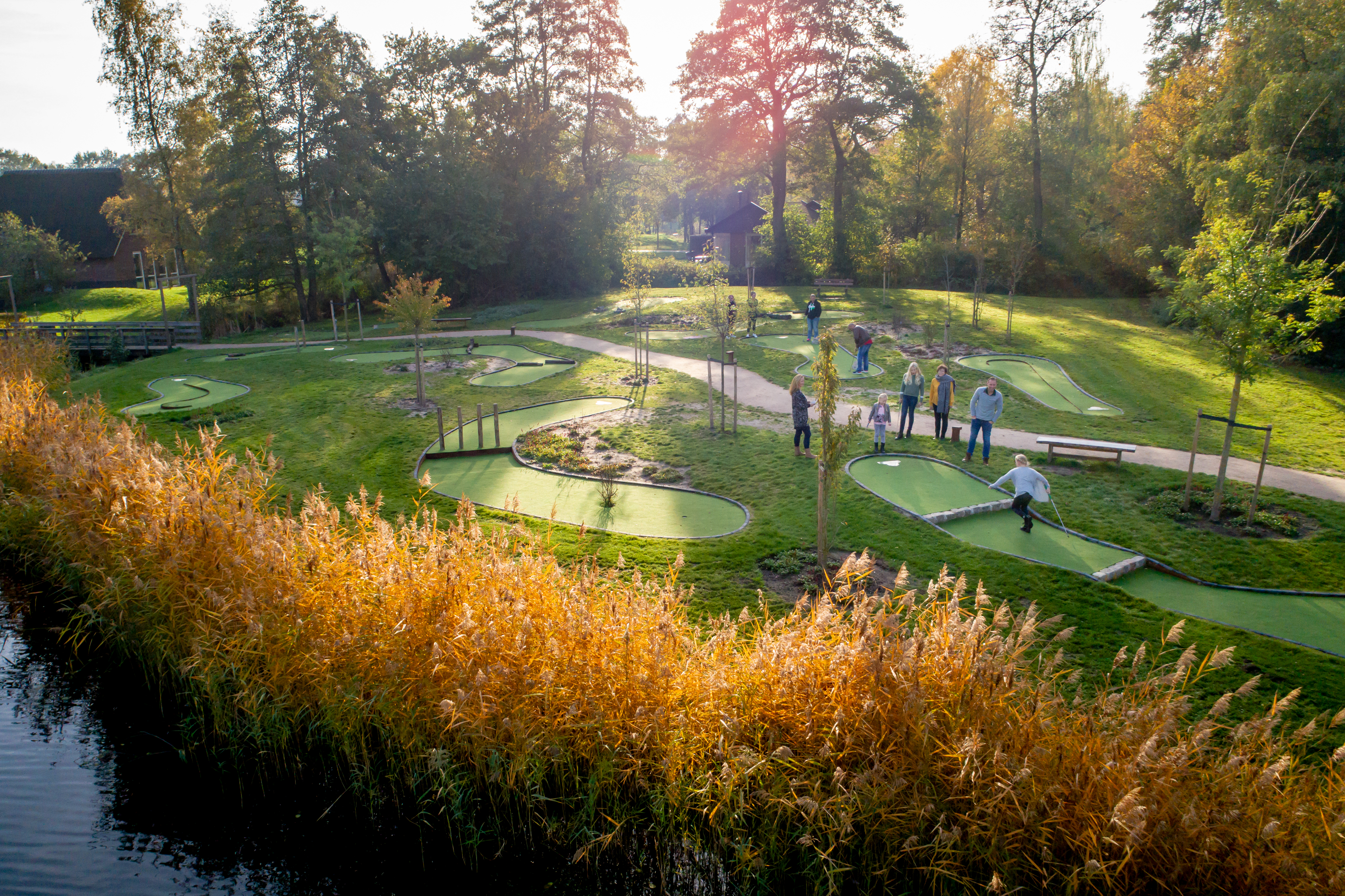 Gezinnen spelen adventure golf op de groene midgetgolfbaan van Landal Aelderholt, omringd door riet en bomen in de avondzon in Drenthe.