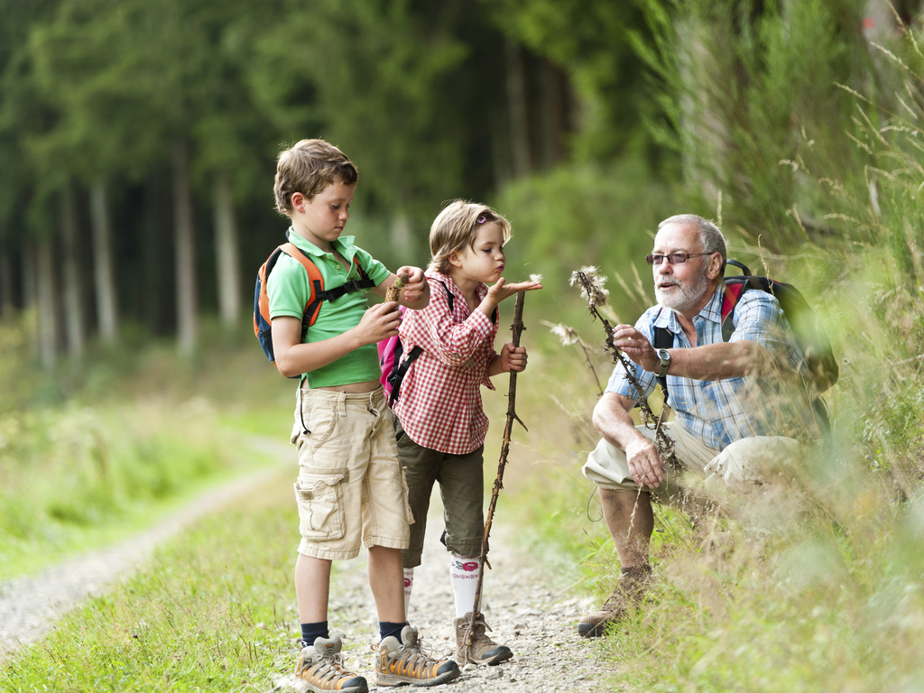 Twee kinderen wandelen door het bos met hun opa, die hen iets aanwijst in de natuur, in de omgeving van Landal Hochwald.
