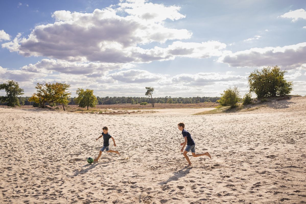 Duinen