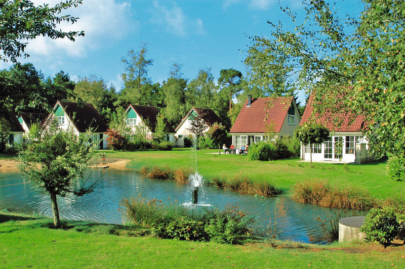 Zonnig overzicht van de vrijstaande vakantiehuisjes aan de waterkant, omgeven door groen op Vakantiepark Hellendoorn.