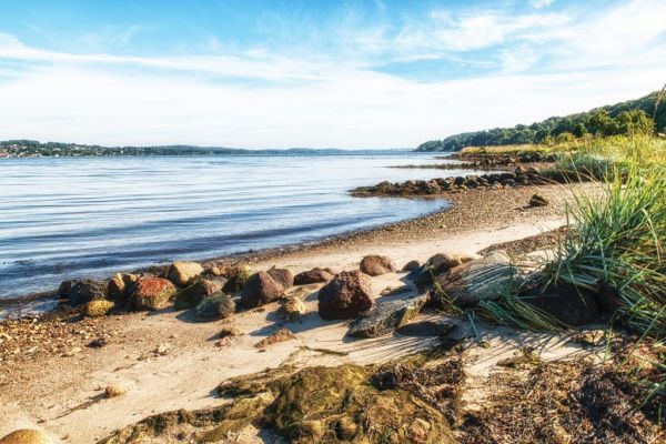 Vejle City Camp
