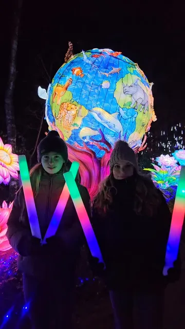 Light Safari