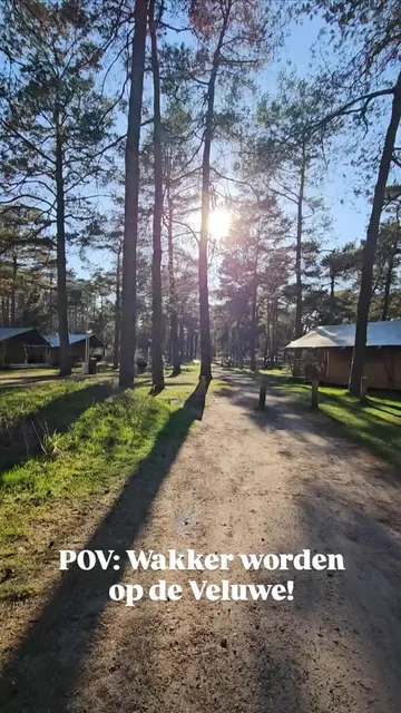 Wakker worden op de Veluwe